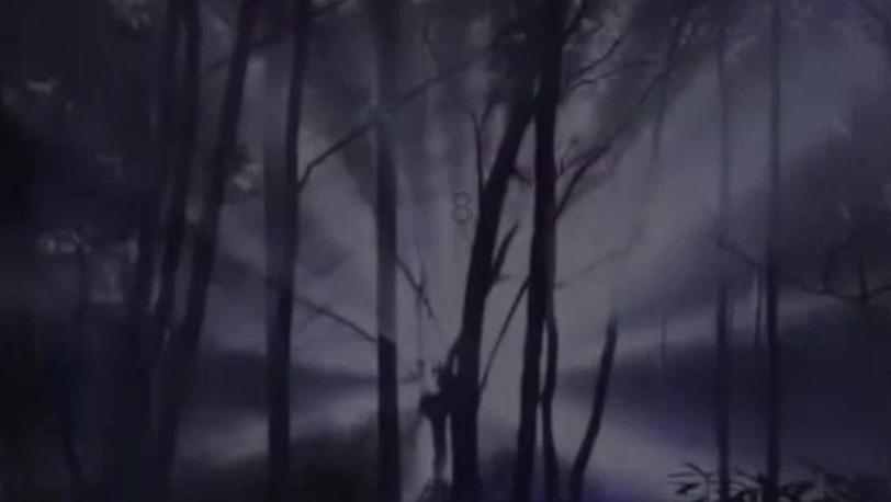 马克思佩恩3